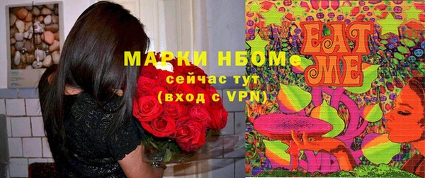 ECSTASY Новозыбков
