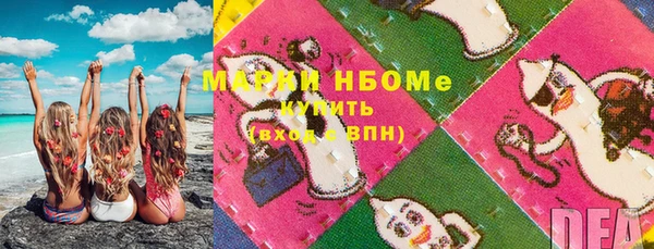 ECSTASY Новозыбков