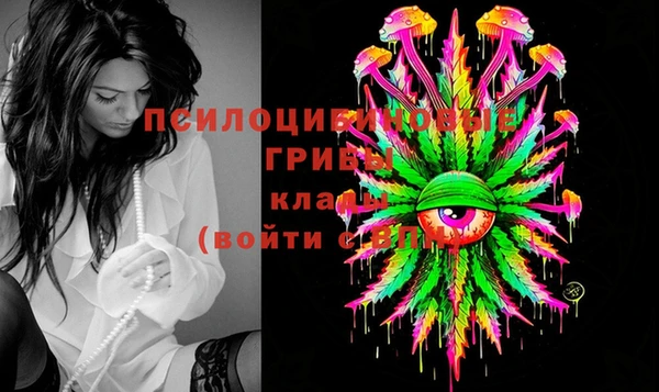 трава Новокубанск