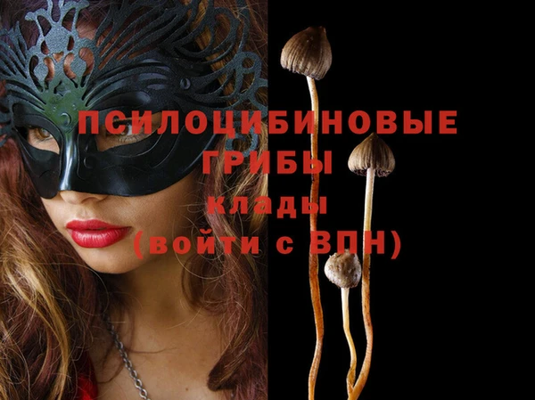 трава Новокубанск