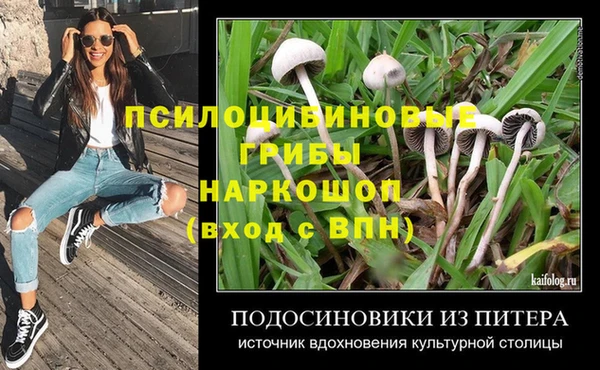 мескалин Новодвинск