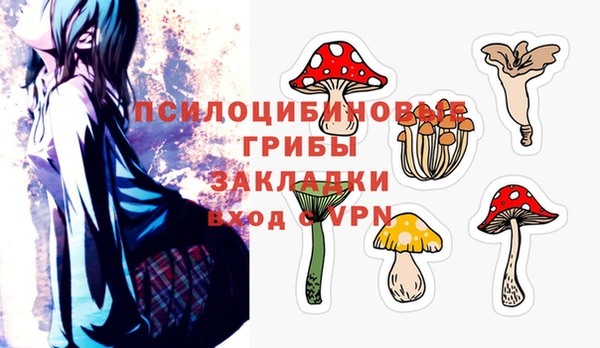 ECSTASY Новозыбков