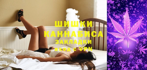 ECSTASY Новозыбков