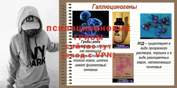 трава Новокубанск