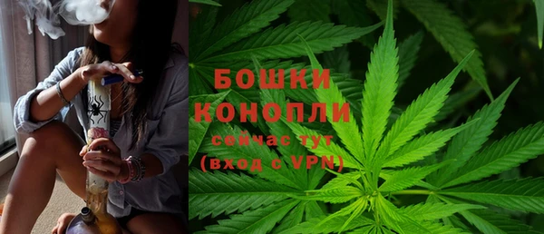 мескалин Новодвинск