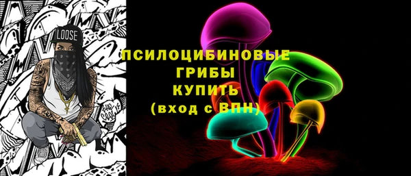 ECSTASY Новозыбков