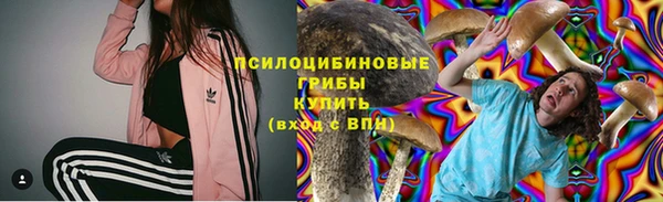 трава Новокубанск