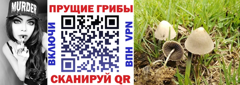 Галлюциногенные грибы ЛСД  это состав  Суоярви 